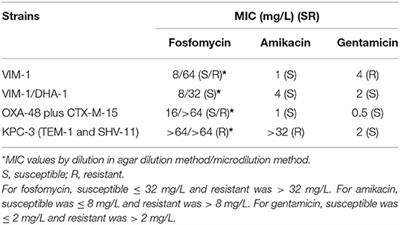 Efficacy of Fosfomycin and Its Combination With Aminoglycosides in an Experimental Sepsis Model by Carbapenemase-Producing Klebsiella pneumoniae Clinical Strains